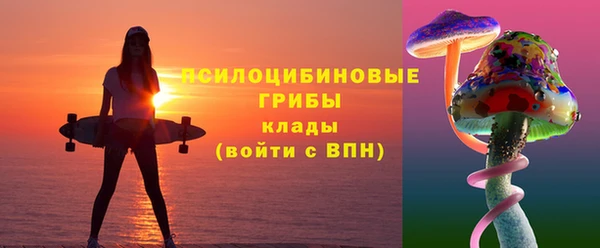 тгк Богданович